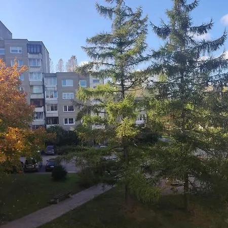 Shortstoppasilaiciai Apartment Wilna